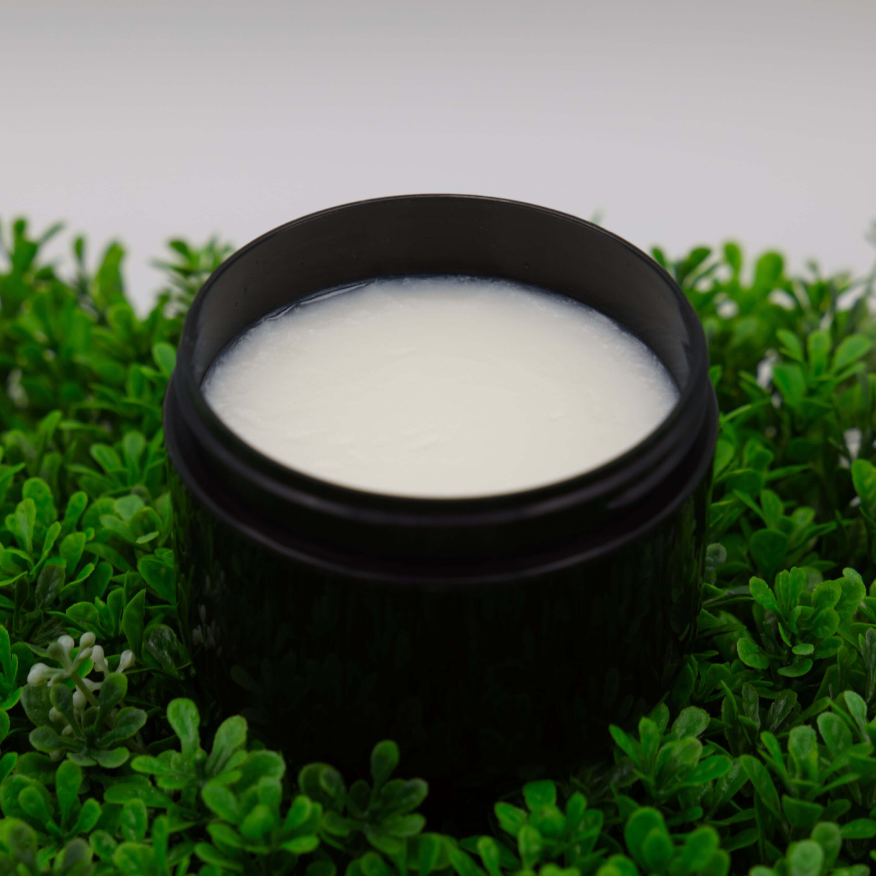 Black jar with white tallow cream on a green leafy background