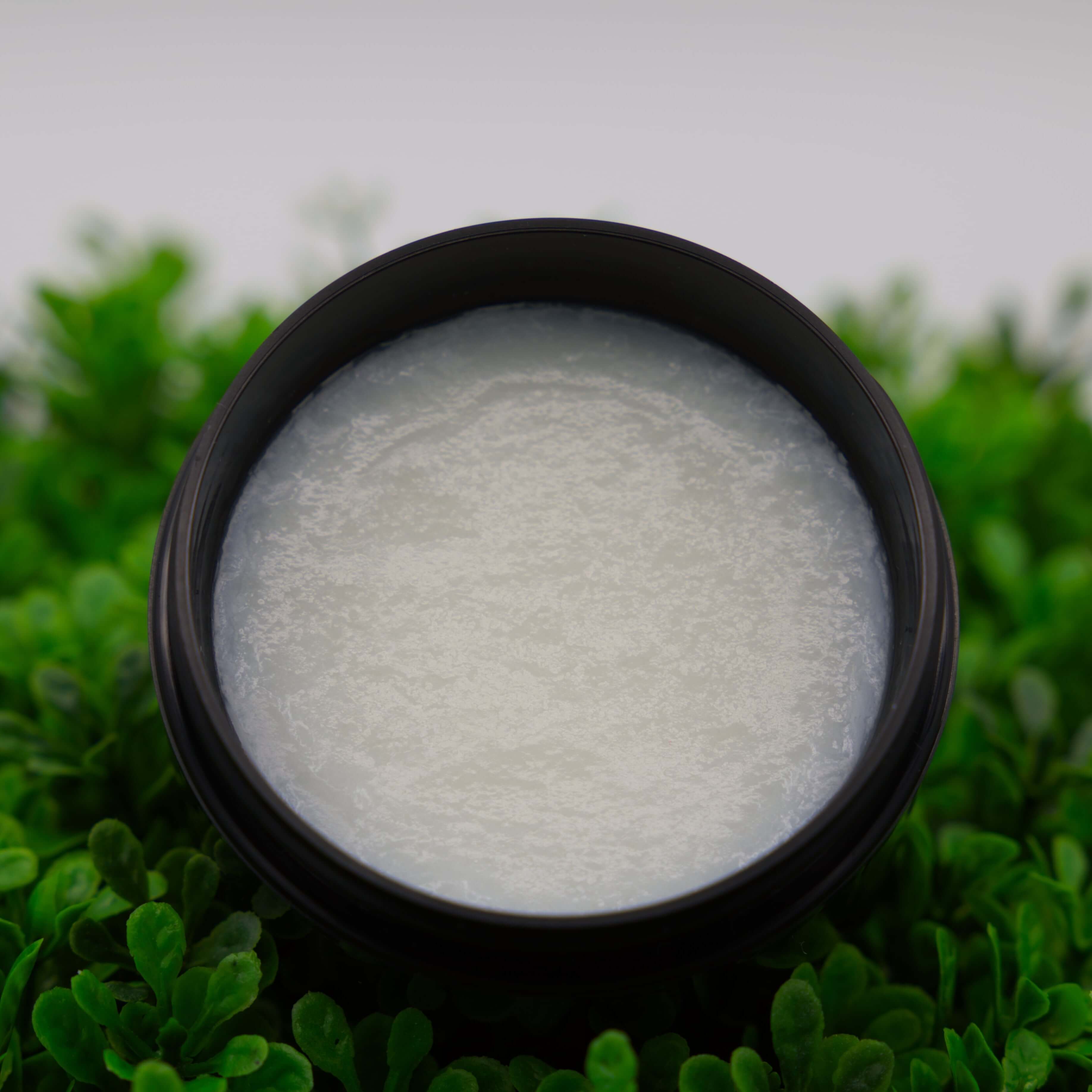 Black container with white tallow cream on a green leafy background